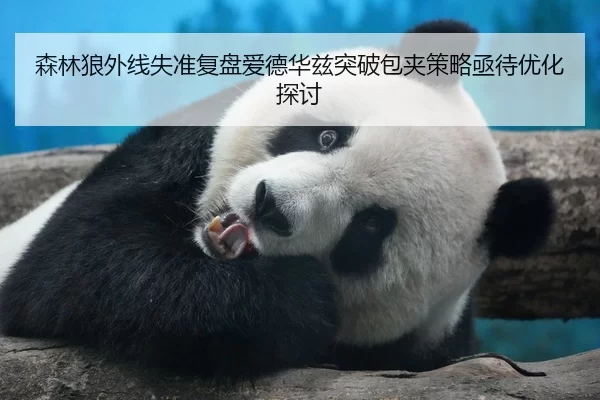 森林狼外线失准复盘爱德华兹突破包夹策略亟待优化探讨 | Kaiyun FIFA WorldCup