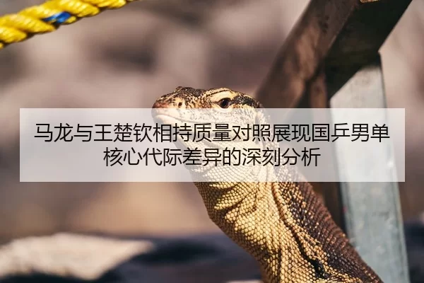 马龙与王楚钦相持质量对照展现国乒男单核心代际差异的深刻分析 | Kaiyun FIFA WorldCup