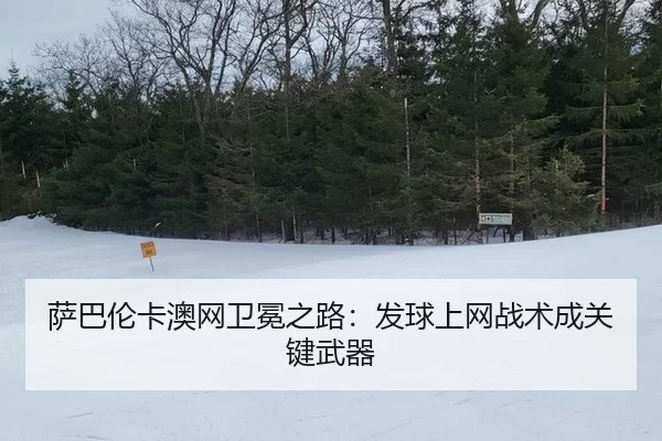 sa-ba-lun-ka-ao-wang-wei-mian-zhi-lu-fa-qiu-shang-wang-zhan-shu-cheng-guan-jian-wu-qi-3-641.jpg