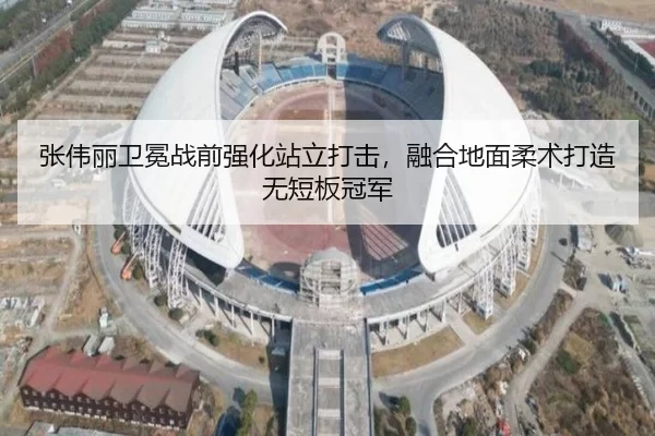 张伟丽卫冕战前强化站立打击，融合地面柔术打造无短板冠军