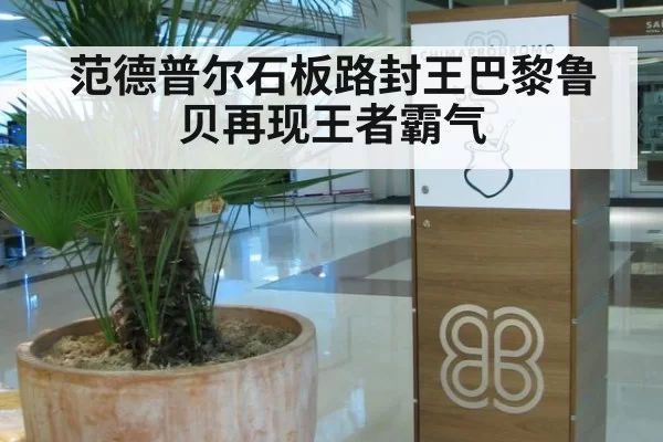 范德普尔石板路封王巴黎鲁贝再现王者霸气