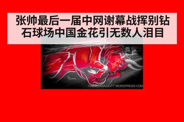 张帅最后一届中网谢幕战挥别钻石球场中国金花引无数人泪目